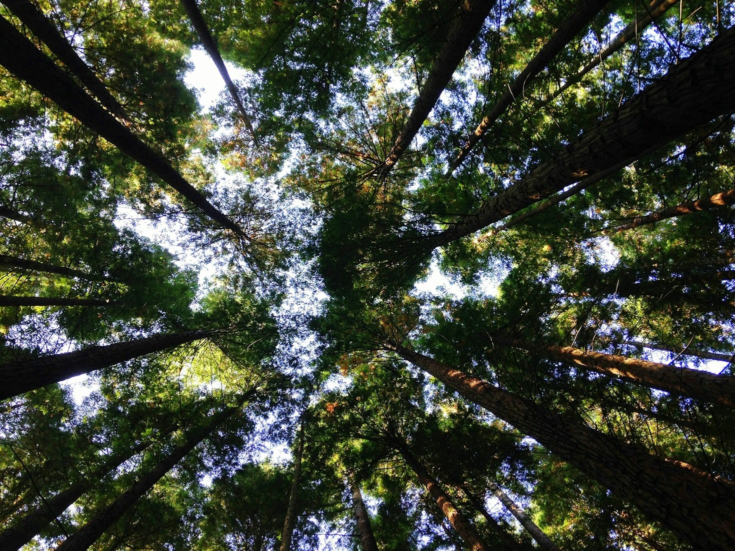 10 Easy Ways to Live More Sustainably