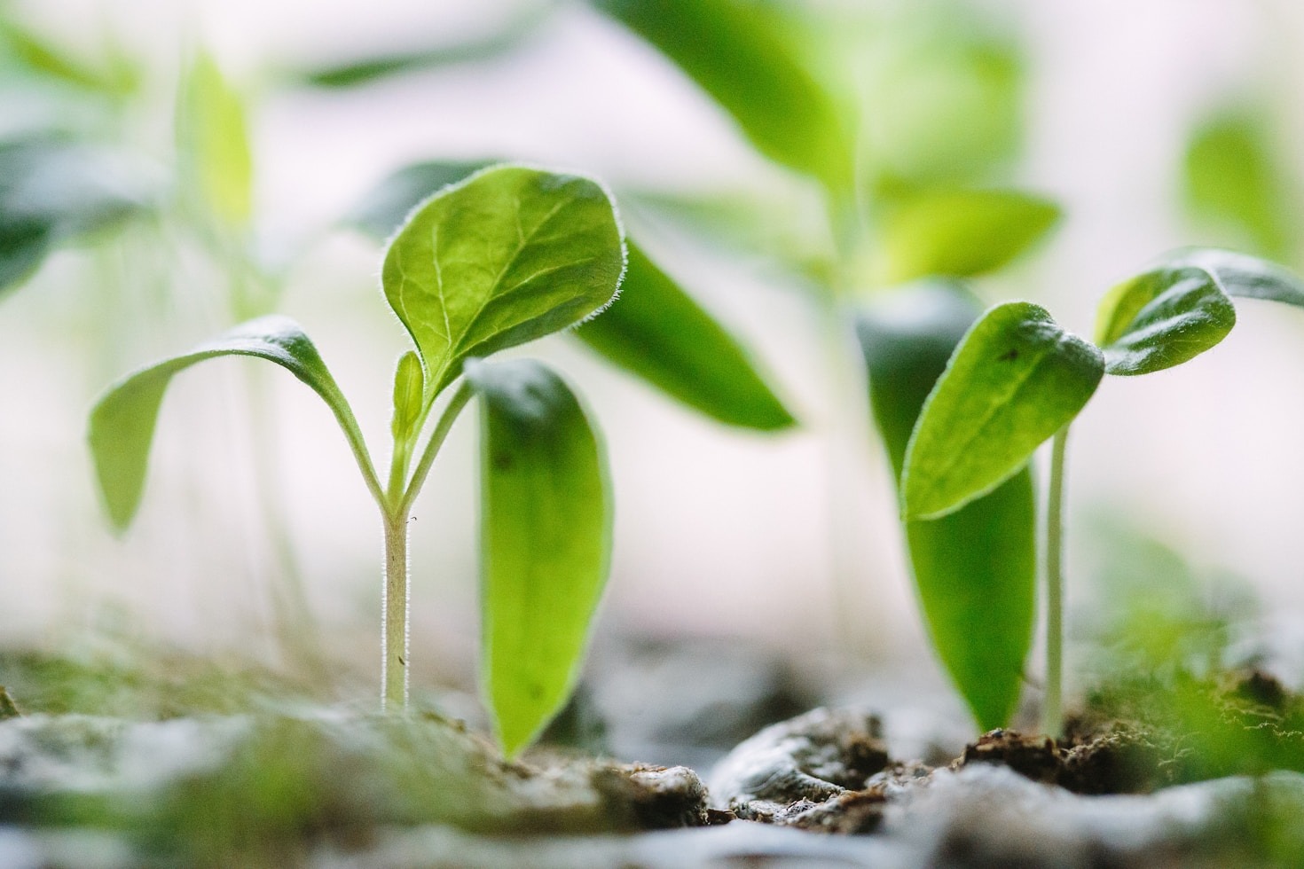 How to Reduce Waste in Everyday Life
