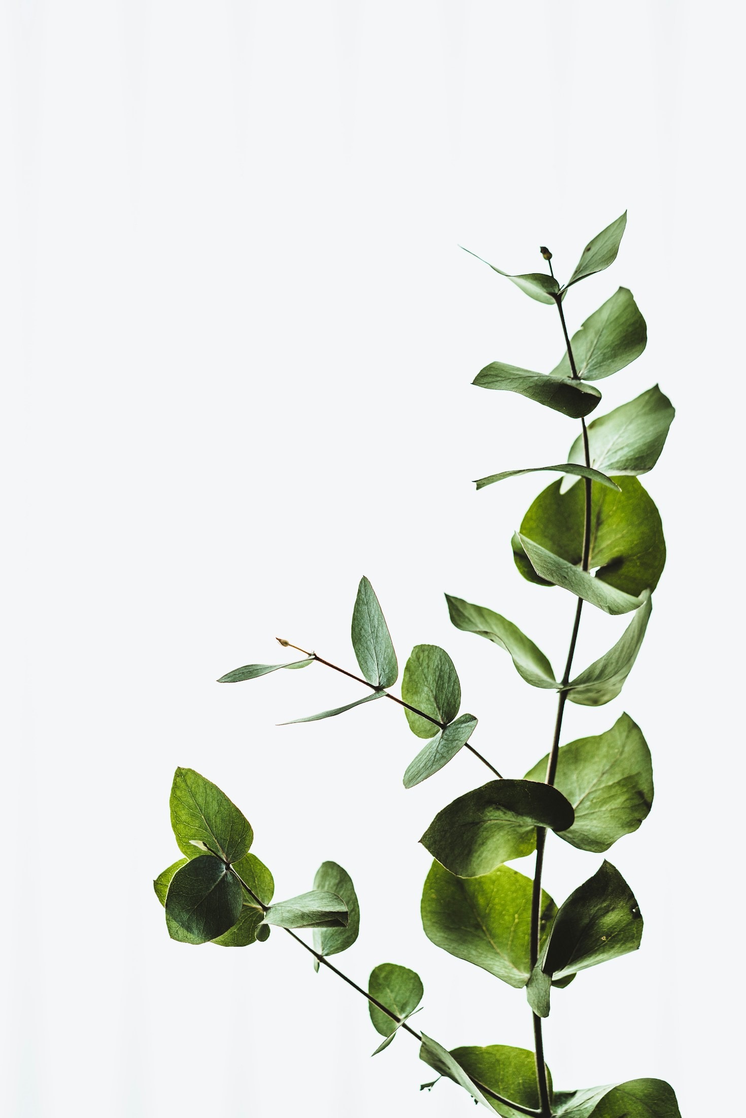 The Impact of Awareness on Environmental Change