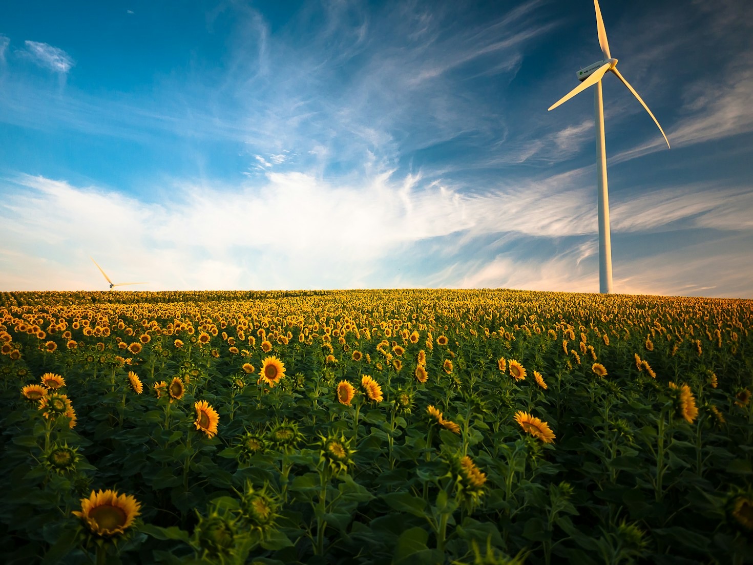Exploring Renewable Energy Solutions